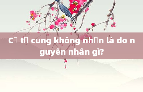 Cổ tử cung không nhẵn là do nguyên nhân gì?