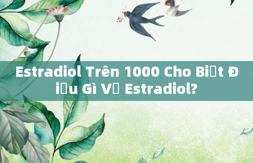 Estradiol Trên 1000 Cho Biết Điều Gì Về Estradiol?