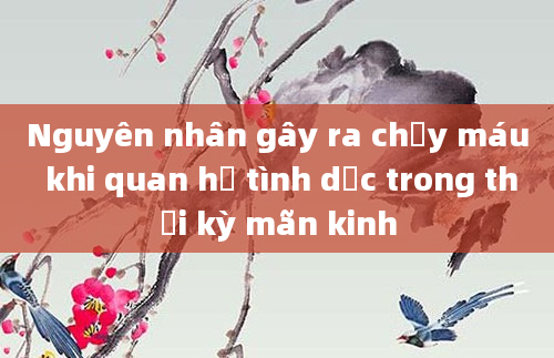 Nguyên nhân gây ra chảy máu khi quan hệ tình dục trong thời kỳ mãn kinh