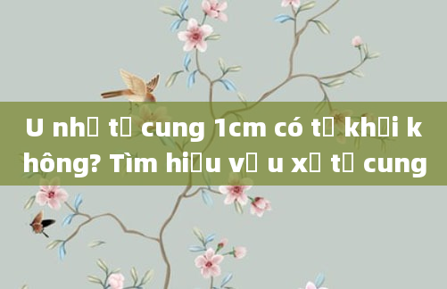 U nhỏ tử cung 1cm có tự khỏi không? Tìm hiểu về u xơ tử cung