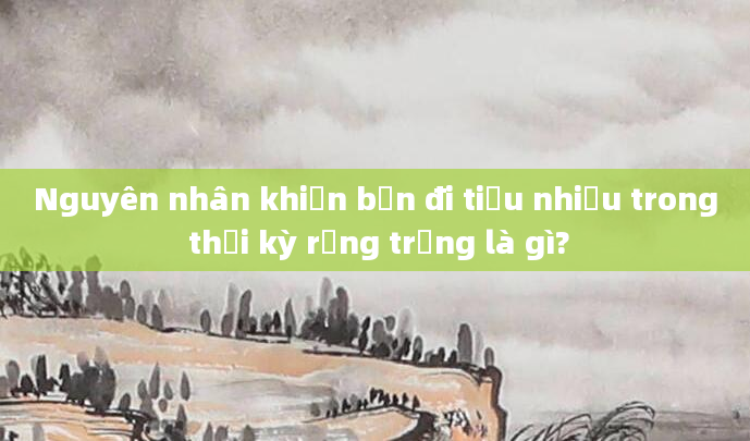 Nguyên nhân khiến bạn đi tiểu nhiều trong thời kỳ rụng trứng là gì?