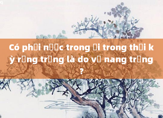 Có phải nước trong ối trong thời kỳ rụng trứng là do vỡ nang trứng?