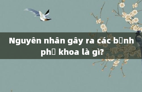 Nguyên nhân gây ra các bệnh phụ khoa là gì?