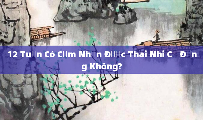 12 Tuần Có Cảm Nhận Được Thai Nhi Cử Động Không?