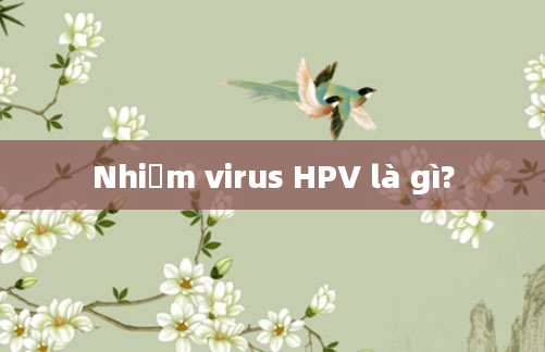 Nhiễm virus HPV là gì?