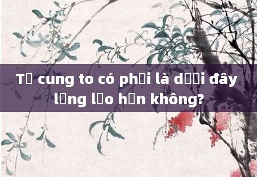 Tử cung to có phải là dưới đây lỏng lẻo hơn không?