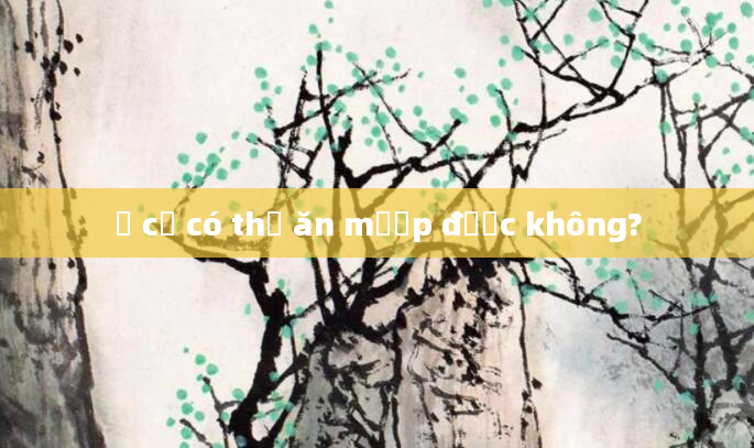 Ở cữ có thể ăn mướp được không?