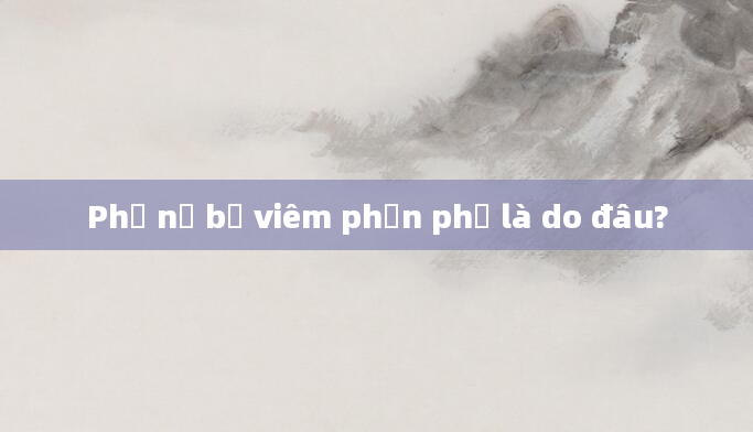 Phụ nữ bị viêm phần phụ là do đâu?