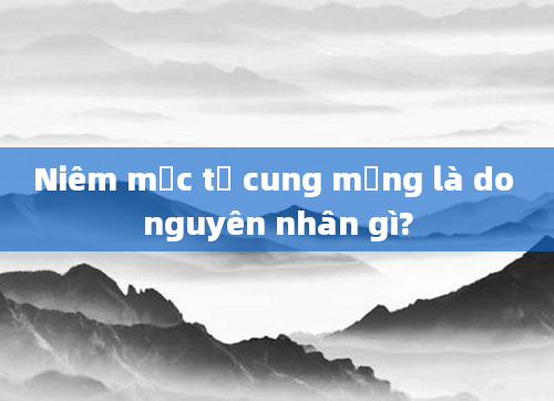 Niêm mạc tử cung mỏng là do nguyên nhân gì?