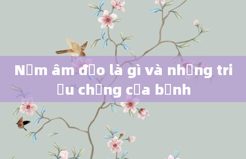 Nấm âm đạo là gì và những triệu chứng của bệnh