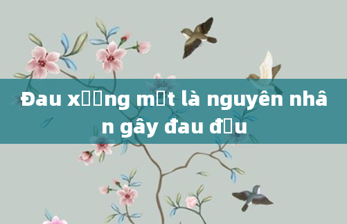 Đau xương mặt là nguyên nhân gây đau đầu