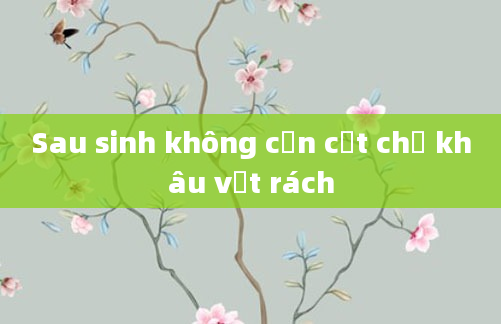 Sau sinh không cần cắt chỉ khâu vết rách