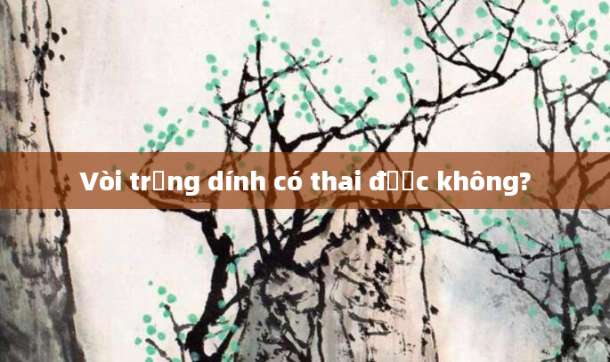Vòi trứng dính có thai được không?