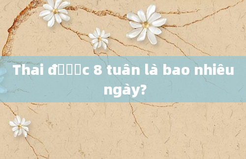 Thai được 8 tuần là bao nhiêu ngày?