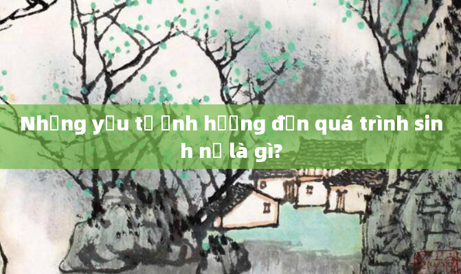 Những yếu tố ảnh hưởng đến quá trình sinh nở là gì?
