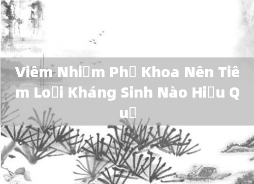 Viêm Nhiễm Phụ Khoa Nên Tiêm Loại Kháng Sinh Nào Hiệu Quả