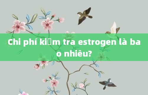 Chi phí kiểm tra estrogen là bao nhiêu?