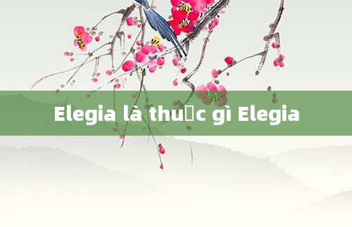 Elegia là thuốc gì Elegia