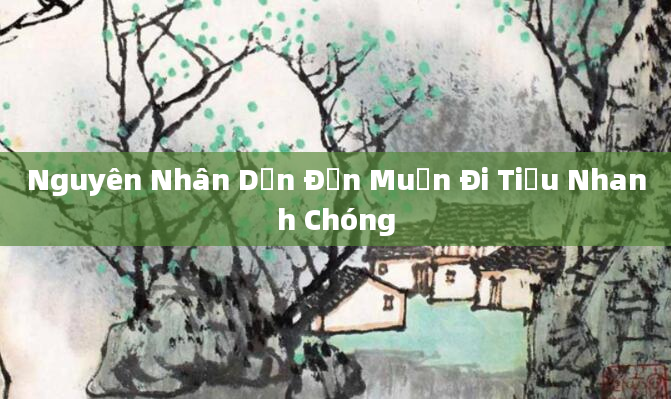 Nguyên Nhân Dẫn Đến Muốn Đi Tiểu Nhanh Chóng