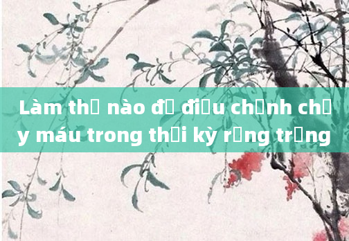 Làm thế nào để điều chỉnh chảy máu trong thời kỳ rụng trứng