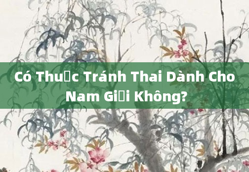 Có Thuốc Tránh Thai Dành Cho Nam Giới Không?