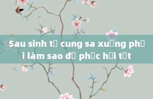 Sau sinh tử cung sa xuống phải làm sao để phục hồi tốt