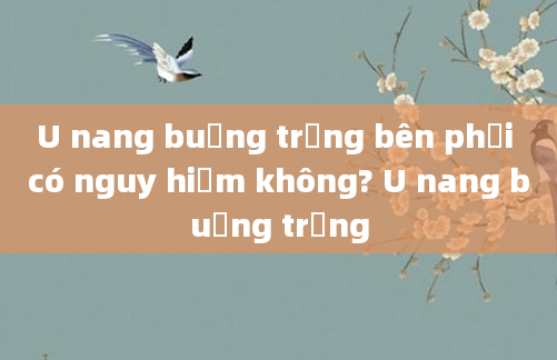 U nang buồng trứng bên phải có nguy hiểm không? U nang buồng trứng