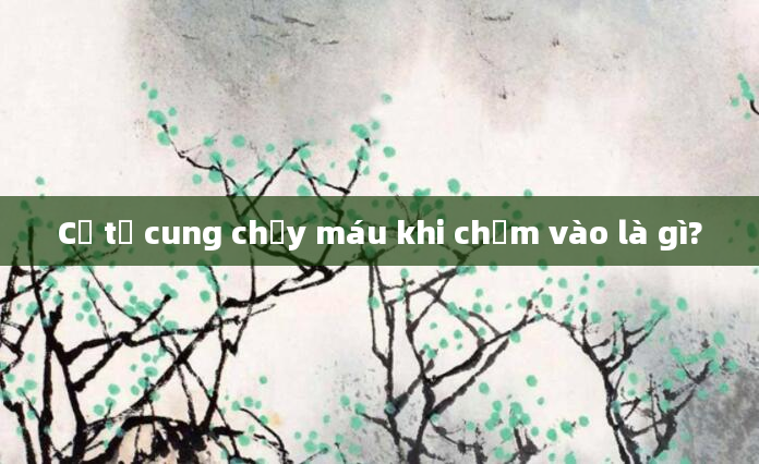 Cổ tử cung chảy máu khi chạm vào là gì?