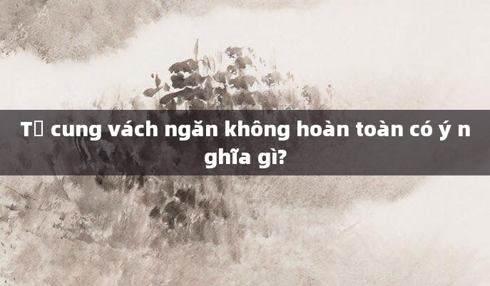 Tử cung vách ngăn không hoàn toàn có ý nghĩa gì?