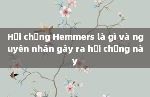 Hội chứng Hemmers là gì và nguyên nhân gây ra hội chứng này