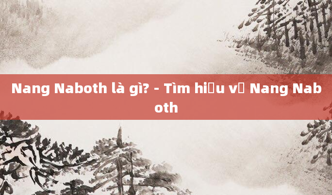Nang Naboth là gì? - Tìm hiểu về Nang Naboth