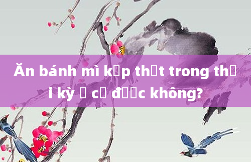 Ăn bánh mì kẹp thịt trong thời kỳ ở cữ được không?
