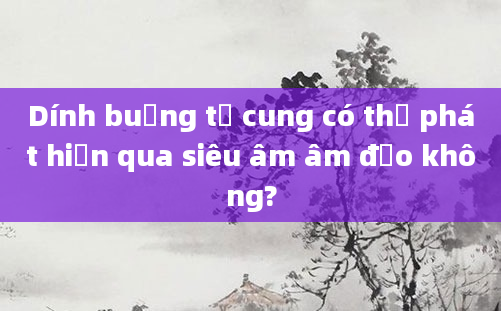 Dính buồng tử cung có thể phát hiện qua siêu âm âm đạo không?