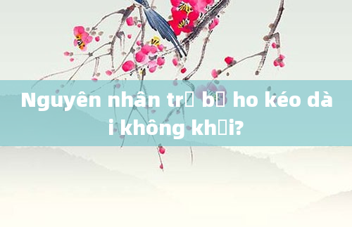 Nguyên nhân trẻ bị ho kéo dài không khỏi?