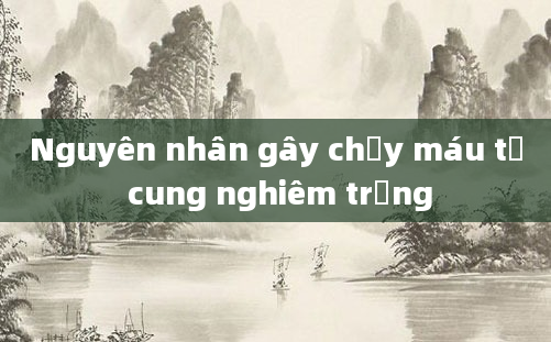 Nguyên nhân gây chảy máu tử cung nghiêm trọng