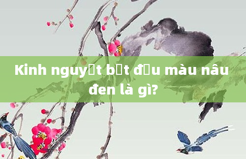 Kinh nguyệt bắt đầu màu nâu đen là gì?