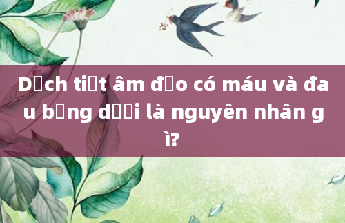 Dịch tiết âm đạo có máu và đau bụng dưới là nguyên nhân gì?