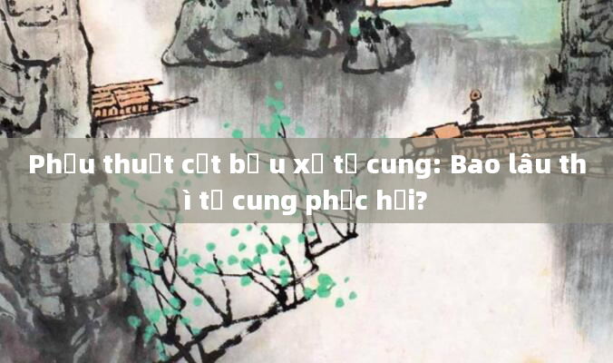 Phẫu thuật cắt bỏ u xơ tử cung: Bao lâu thì tử cung phục hồi?
