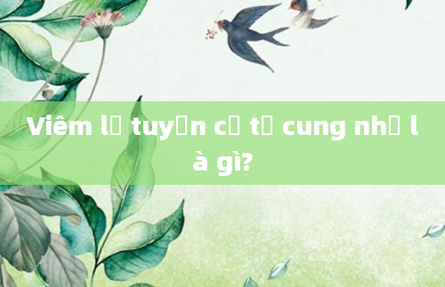 Viêm lộ tuyến cổ tử cung nhẹ là gì?