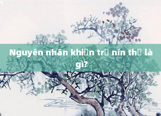 Nguyên nhân khiến trẻ nín thở là gì?