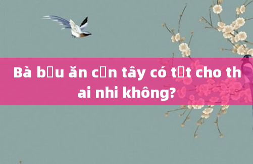 Bà bầu ăn cần tây có tốt cho thai nhi không?