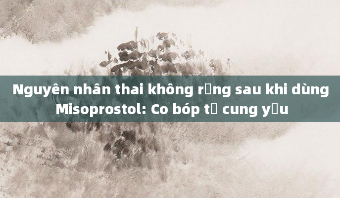 Nguyên nhân thai không rụng sau khi dùng Misoprostol: Co bóp tử cung yếu