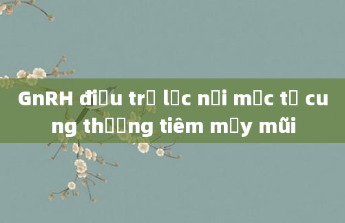 GnRH điều trị lạc nội mạc tử cung thường tiêm mấy mũi
