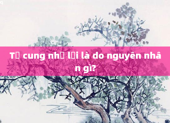 Tử cung nhỏ lại là do nguyên nhân gì?