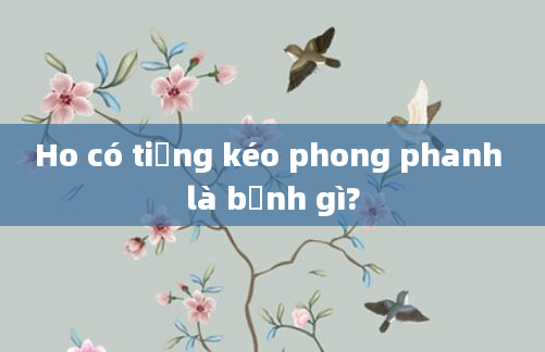 Ho có tiếng kéo phong phanh là bệnh gì?