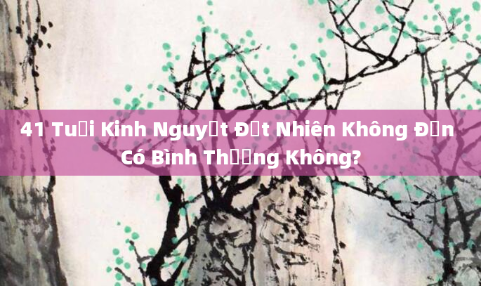 41 Tuổi Kinh Nguyệt Đột Nhiên Không Đến Có Bình Thường Không?