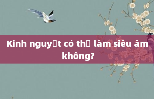 Kinh nguyệt có thể làm siêu âm không?