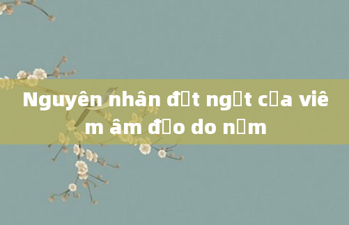Nguyên nhân đột ngột của viêm âm đạo do nấm