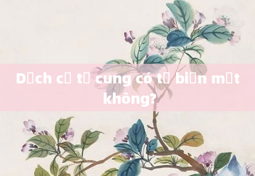 Dịch cổ tử cung có tự biến mất không?
