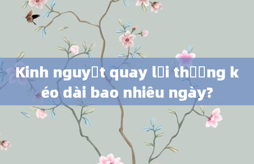 Kinh nguyệt quay lại thường kéo dài bao nhiêu ngày?
